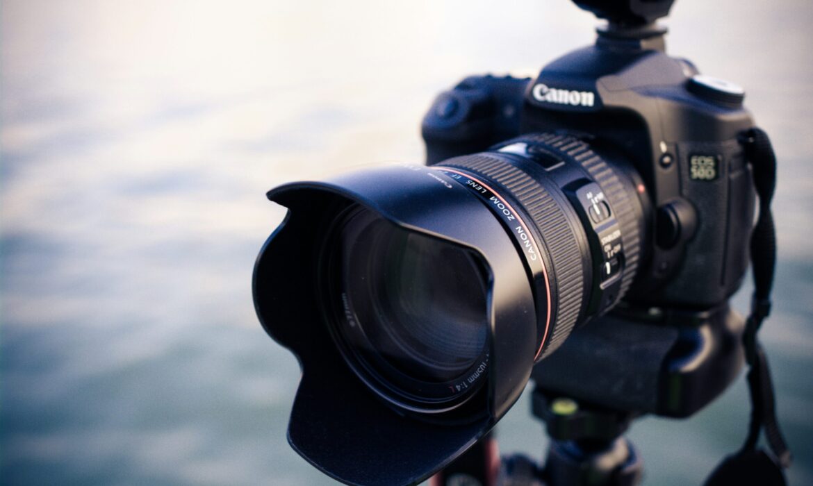 carolhighsmithamerica