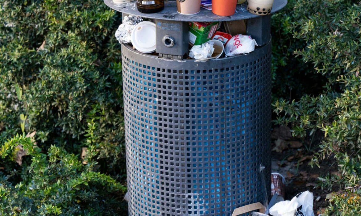 junkbusterstrashremoval