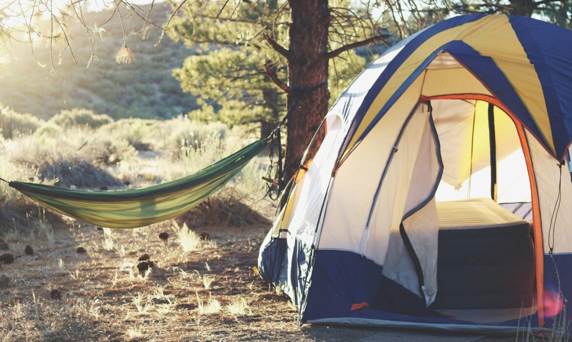 Campsite at golden hour