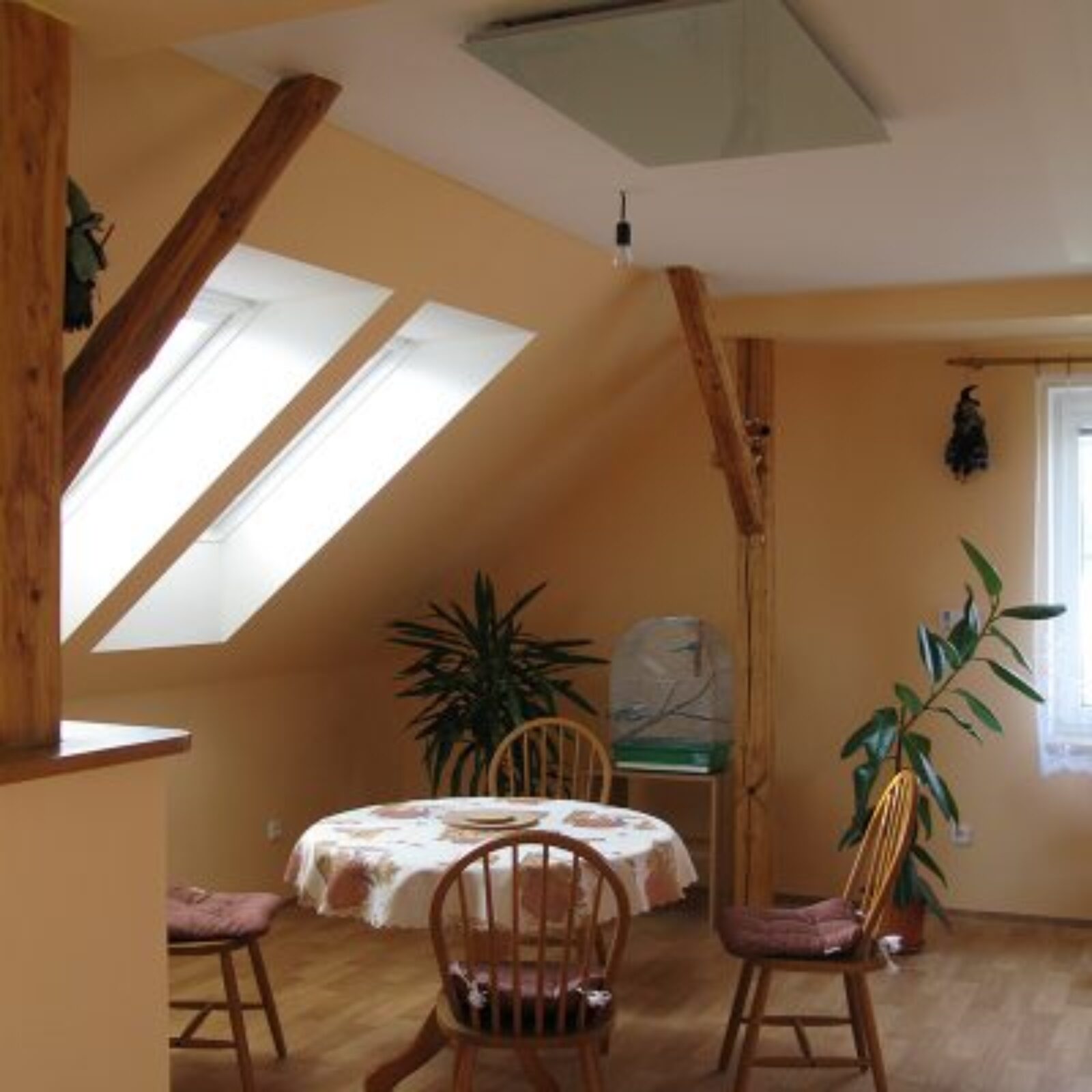 Volf Infratopení: Affordable and Efficient Heating for the Modern Household