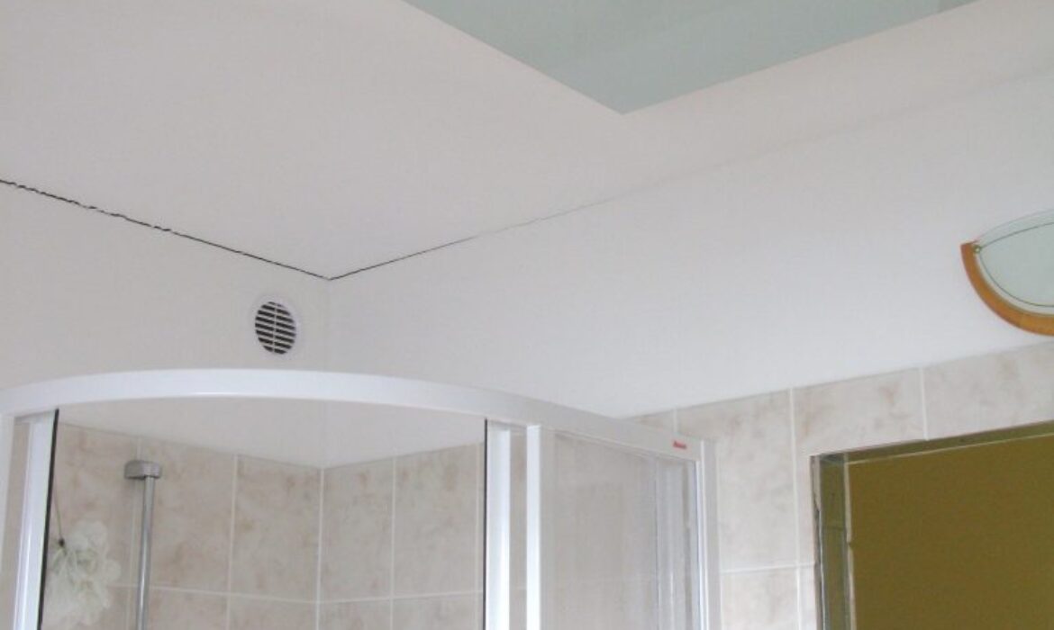 The Heat of Innovation: A Review of Volf Infratopení