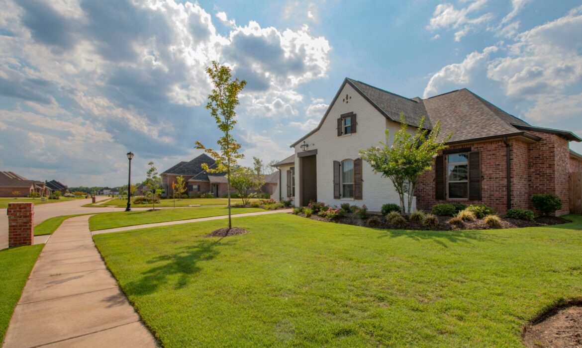 Tradition, Languages, and Expertise: A Review of Croperties Real Estate